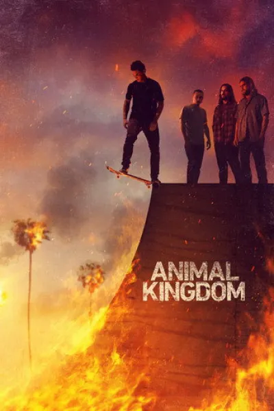 Similar to «Breaking Bad»: Animal Kingdom
