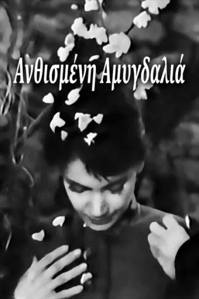 Empfehlung zu «Die fabelhafte Welt der Amélie»: Blossoming Almond Tree