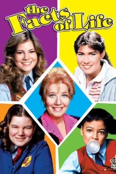 Similar to «Leyla Hâli»: The Facts of Life