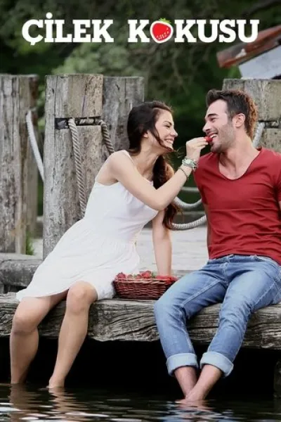Similar to «Possible Love»: Çilek Kokusu