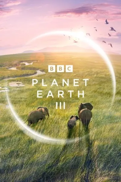 Similar to «Wild Spring»: Planet Earth III