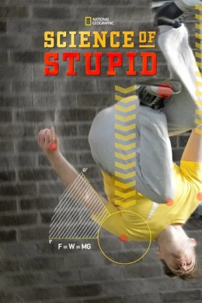 Similar to «Wild Spring»: Science of Stupid