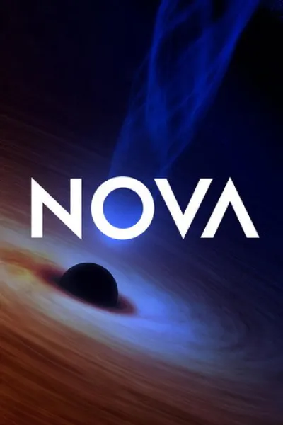 Similar to «Wild Spring»: NOVA