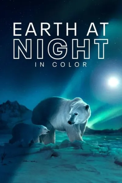 Similar to «Rafa»: Earth at Night in Colour