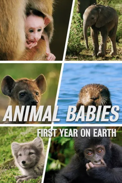 Recomendado con «Surviving Earth»: Cachorros, su primer año de vida