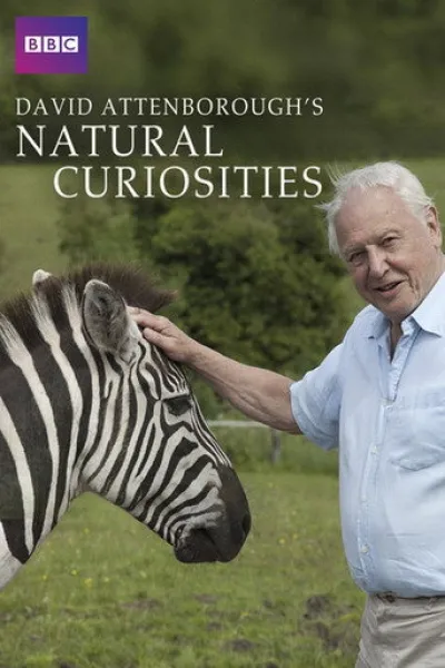 Recomendado con «Surviving Earth»: David Attenborough's Natural Curiosities