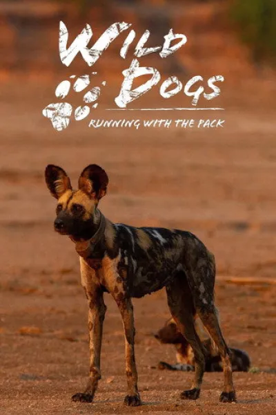 Recomendado con «Surviving Earth»: Wild Dogs: Running with the Pack