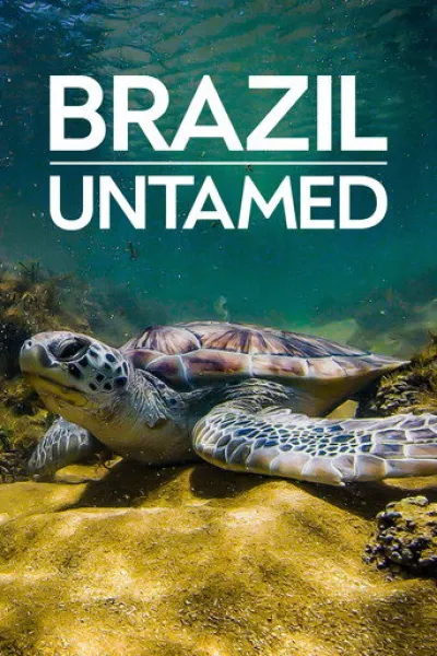 Recomendado con «Surviving Earth»: Brazil Untamed