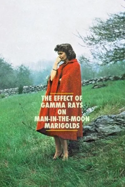 Similar to «Yellow Letters»: The Effect of Gamma Rays on Man-in-the-Moon Marigolds