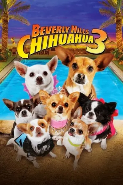 Similar to «The Breadwinner»: Beverly Hills Chihuahua 3: Viva la Fiesta!