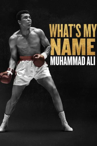 Similar to «Rafa»: What's My Name | Muhammad Ali