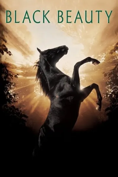 Similar to «Propeller One-Way Night Coach»: Black Beauty
