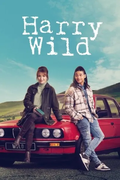 Similar to «Rainmarks»: Harry Wild
