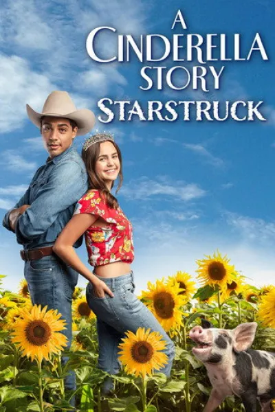 Similar to «Heartman: Rock and Love»: A Cinderella Story: Starstruck