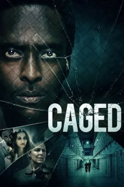 Similar to «Airport»: Caged