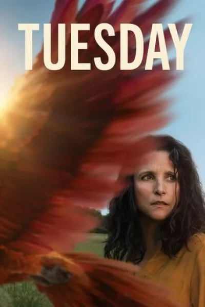 Similar to «I Won't Die for Love»: Tuesday