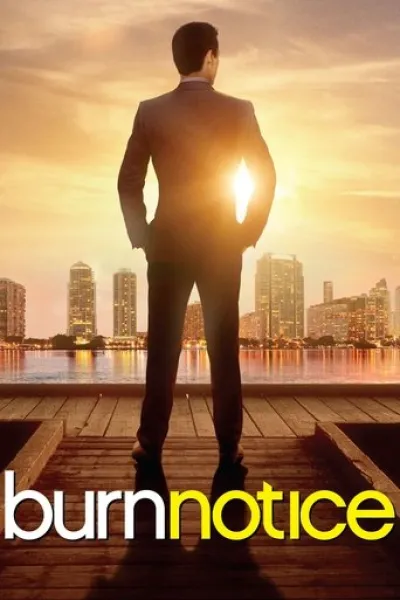 Recommended with «Reacher»: Burn Notice