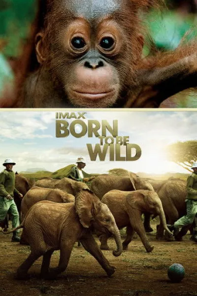 Similar to «A Gorilla Story: Told by David Attenborough»: Born to Be Wild