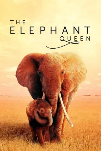 Similar to «A Gorilla Story: Told by David Attenborough»: The Elephant Queen