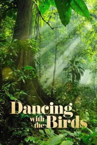 Similar to «A Gorilla Story: Told by David Attenborough»: Dancing with the Birds