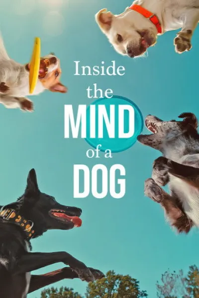 Similar to «A Gorilla Story: Told by David Attenborough»: Inside the Mind of a Dog