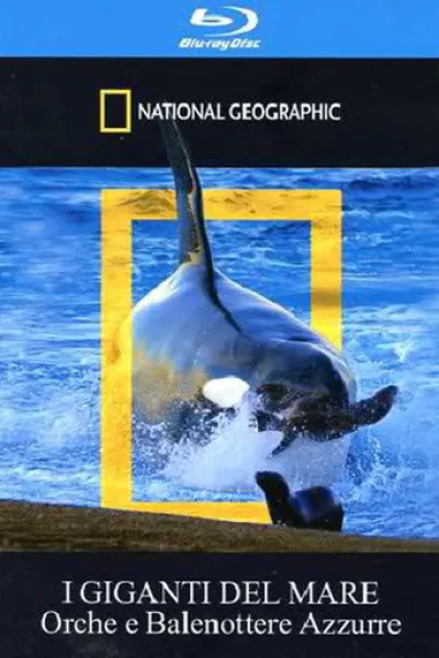 Recommended with «A Gorilla Story: Told by David Attenborough»: Orca Killing School