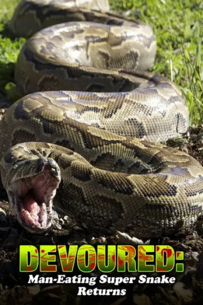 Recommended with «A Gorilla Story: Told by David Attenborough»: Devoured: Man-Eating Super Snake Returns