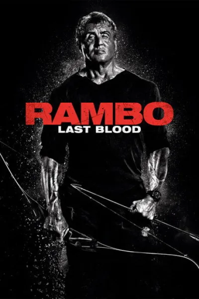 Similar to «Brothers Under Fire»: Rambo: Last Blood