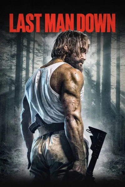 Similar to «Brothers Under Fire»: Last Man Down