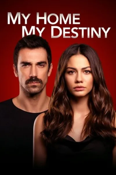Similar to «We'll Be Fine»: My Home My Destiny