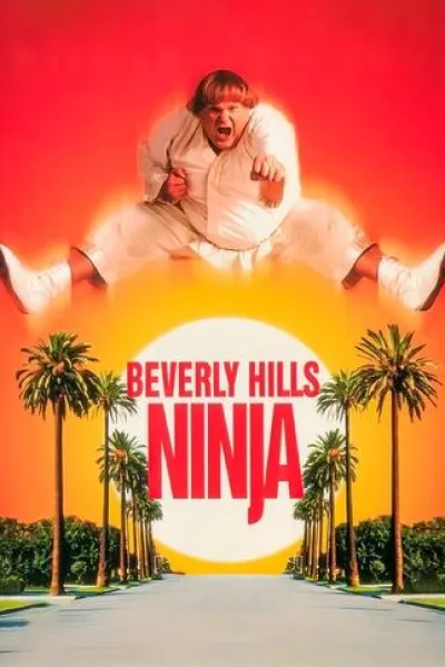 Recommended with «Feel My Voice»: Beverly Hills Ninja