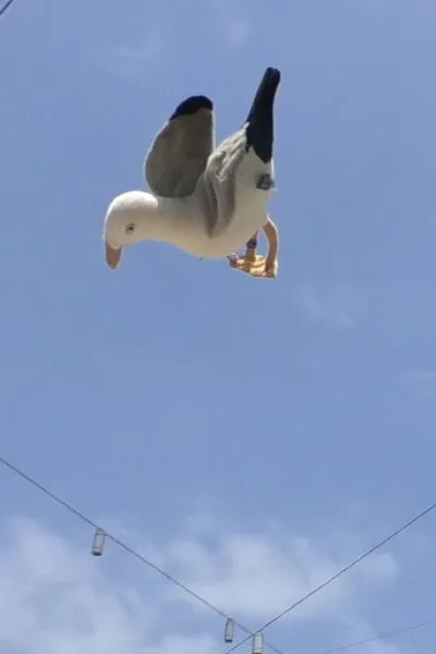 Recommended with «Operation Taco Gary's»: Double Jump