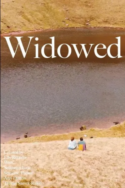 Рекомендация к «Я иду искать 2»: Widowed