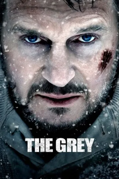 Similar to «The Dog Stars»: The Grey