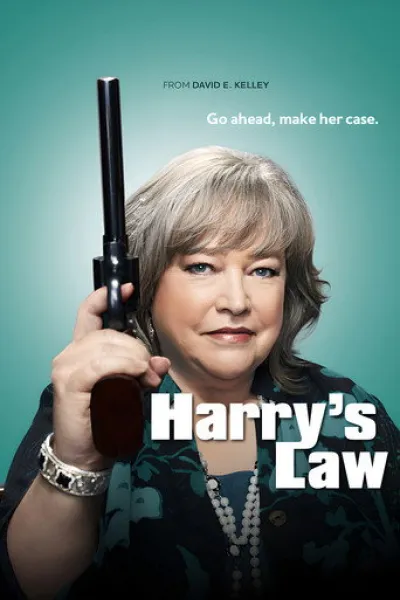 Similar to «Phantom Lawyer»: Harry's Law