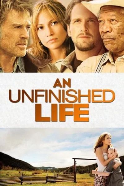 Similar to «Reminders of Him»: An Unfinished Life