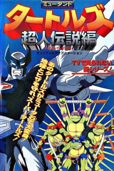 Recommended with «Chad Powers»: Mutant Turtles: Superman Legend
