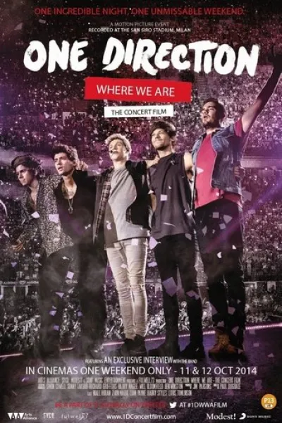 Similar to «Twenty One Pilots: More Than We Ever Imagined»: One Direction: Where We Are - The Concert Film