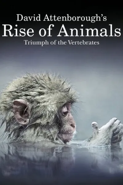 Recommended with «The Dinosaurs»: David Attenborough's Rise of Animals: Triumph of the Vertebrates