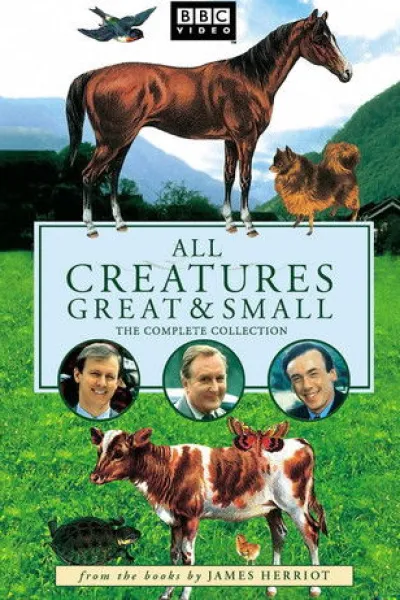 Semblable à «James Herriot, chroniques d'un jeune vétérinaire» : All Creatures Great and Small