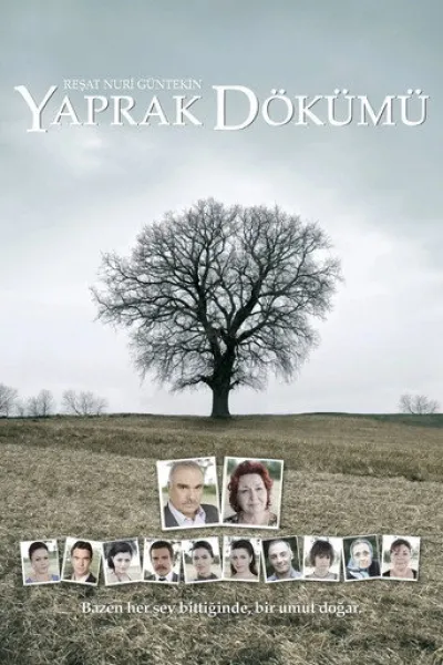 Ähnlich wie «Sevdiğim Sensin»: Falling Leaves