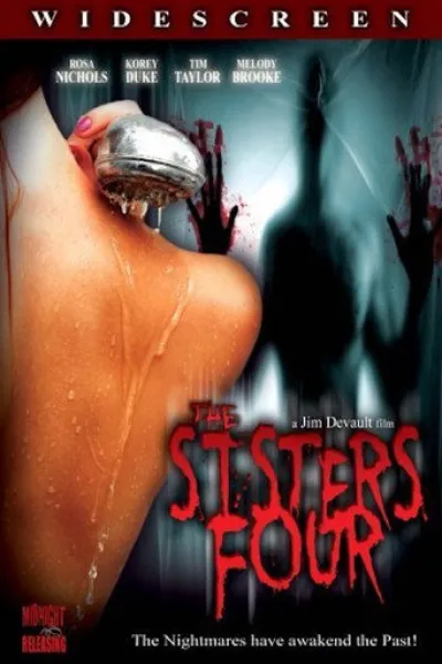 Empfehlung zu «The Strangers: Chapter 3»: The Sisters Four