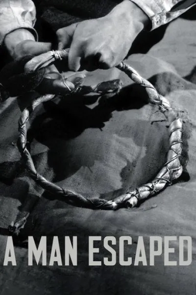 Recommended with «Cheekatilo»: A Man Escaped