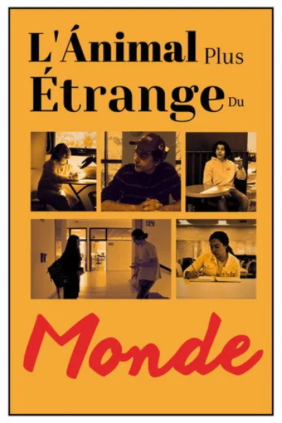 Recommended with «How to Lose a Popularity Contest»: L'Ánimal Plus Étrange Du Monde