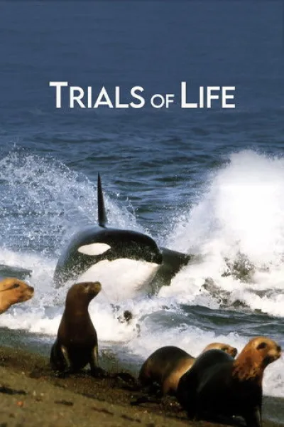 Similar to «Pole to Pole with Will Smith»: Trials of Life