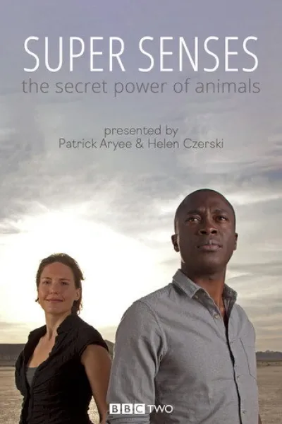Recommended with «Pole to Pole with Will Smith»: Super Senses: The Secret Power of Animals