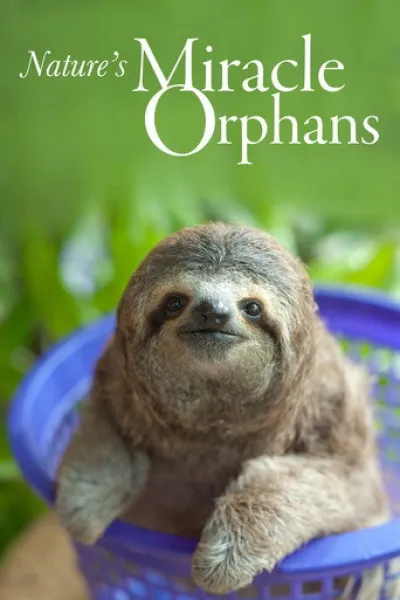 Recommended with «Pole to Pole with Will Smith»: Nature's Miracle Orphans