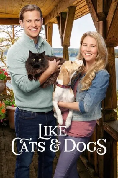 Similar to «Lost in Paradise»: Like Cats & Dogs