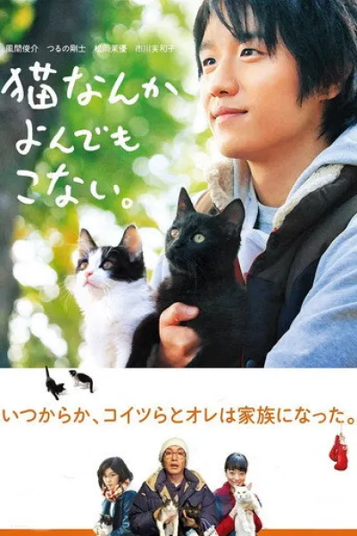 Recommended with «The American Dream»: Cats Don't Come When You Call