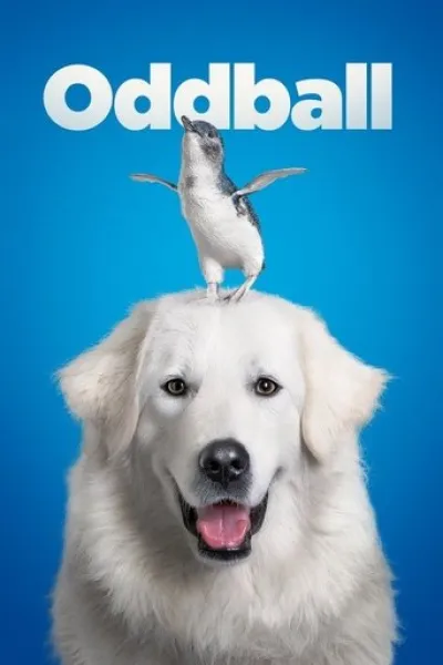 Similar to «Not My Dog»: Oddball